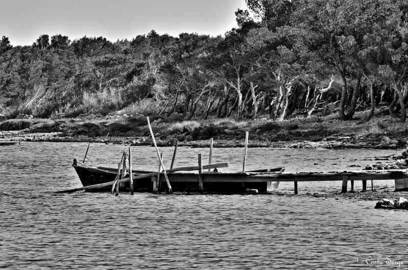 ponton et barque.jpg